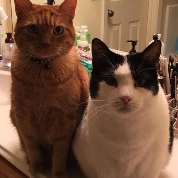 Meet your Posher, Amanda - Picture 5 of 9